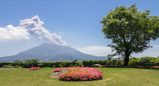Kagoshima és a Sakurajima vulkán tavasszal 