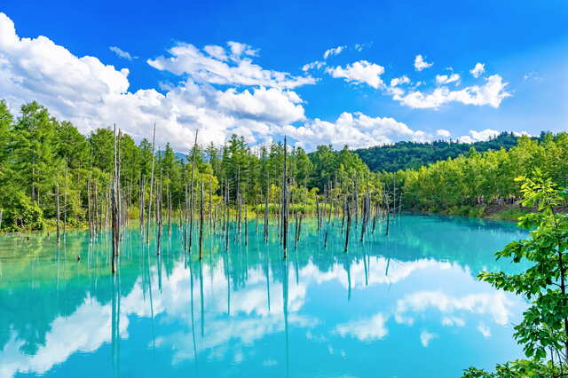 Shirokane kék tó Biei-ben