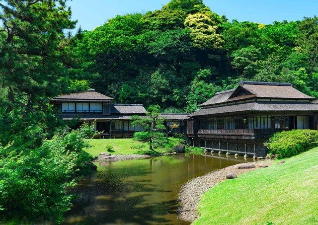 Sankeien kert, Yokohama
