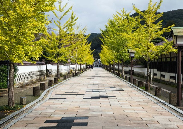 Tonomachi utca, Tsuwano