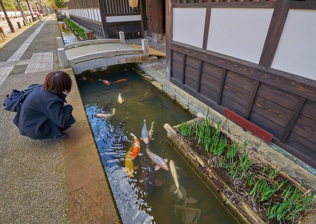 Ponty a Tonomachi utcában, Tsuwano