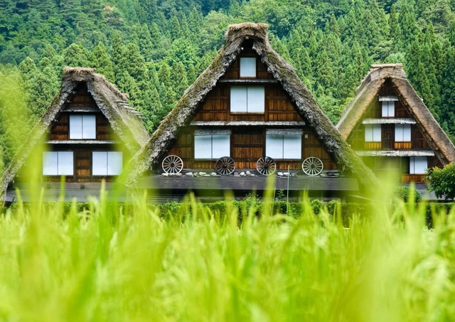 Hagyományos gassho-zukuri házak, Shirakawago