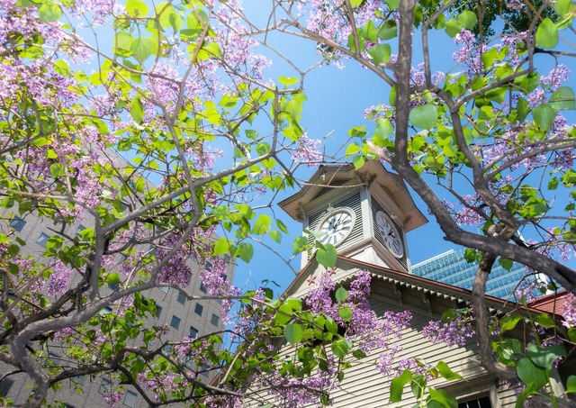 Sapporo óratorony
