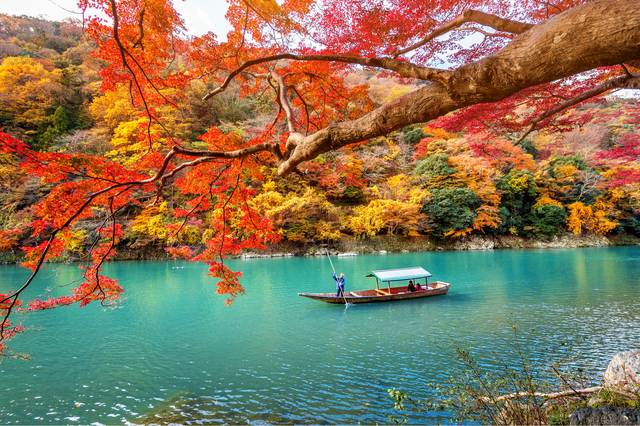 Hozu-folyó hajókirándulás, Arashiyama 