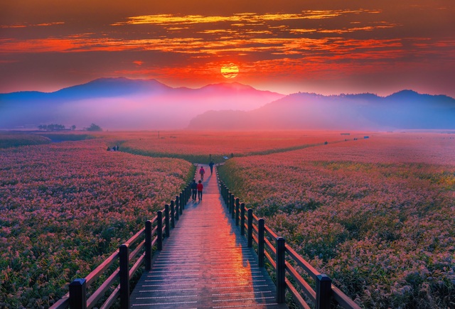 Suncheon-öböl, Yeosu