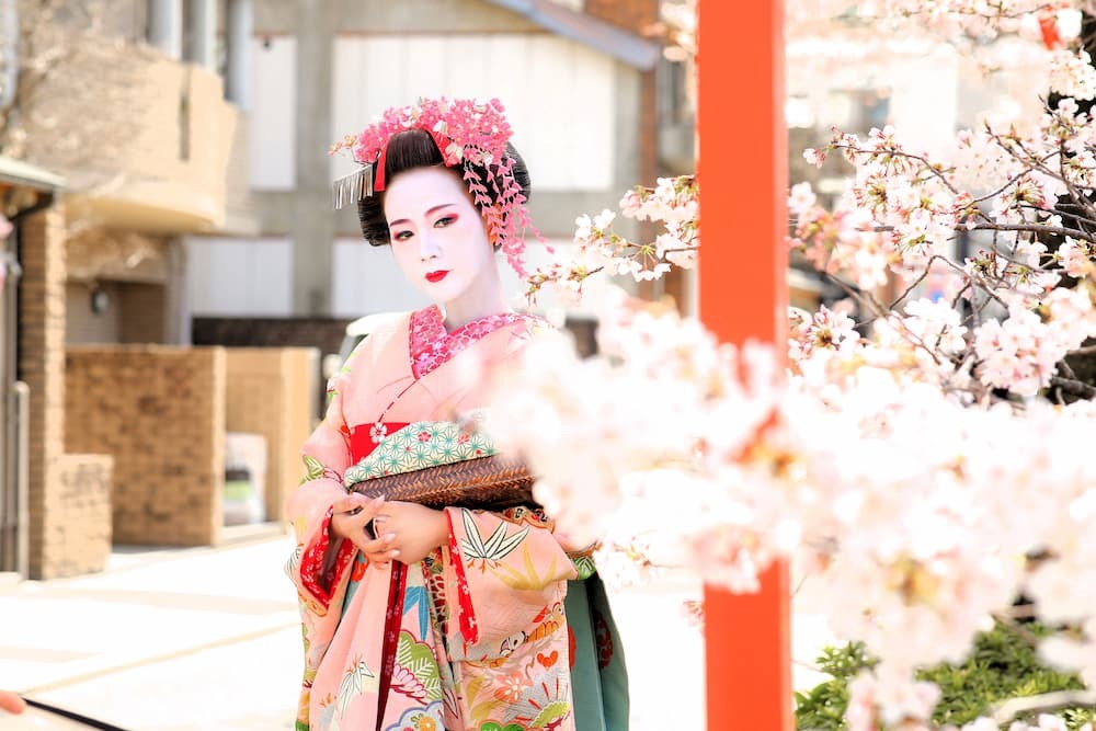 Maiko a sakura úton rózsaszín esernyővel