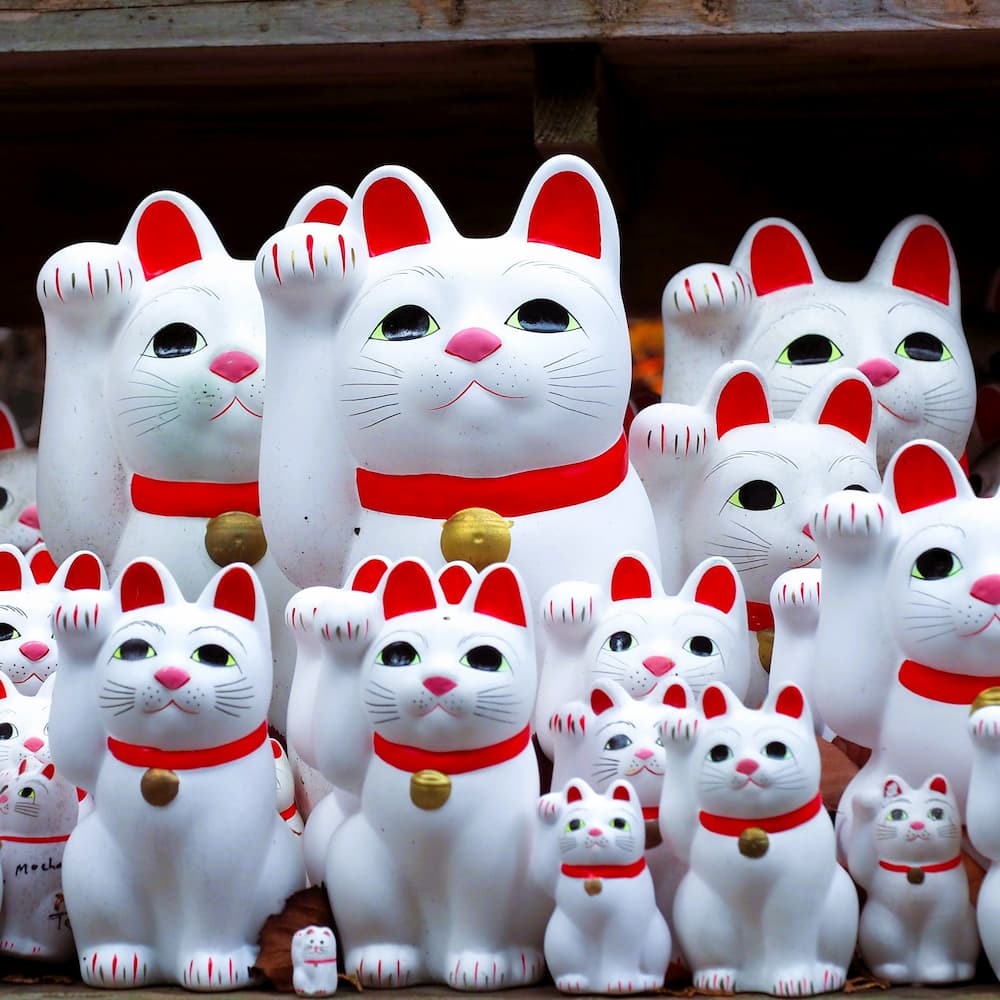 Maneki-neko szerencsét hozó macskák a Goutokuji szentélynél, Tokió, Japán