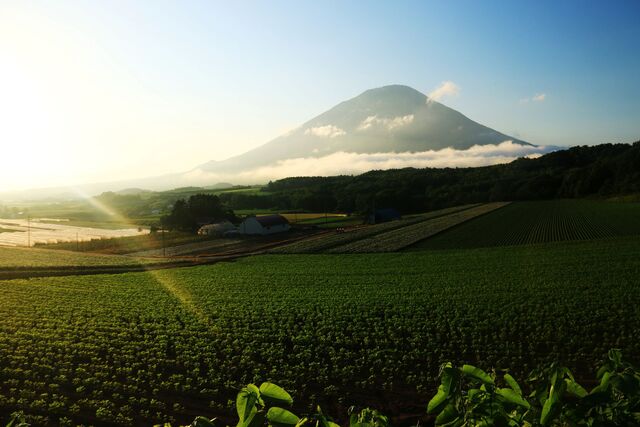Yotei-hegy nyáron, Niseko