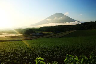 Yotei-hegy nyáron, Niseko
