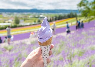 Hokkaidói fagylalt Furano virágmezőinél