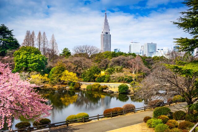 Virágzó kert Shinjukuban, Tokió, Japán