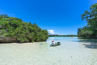Mangrove és a tenger, Okinawa