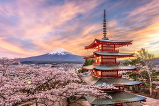Chureito Pagoda a Fuji hegyel tavasszal
