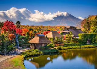 Teaültetvény a Fuji-hegyre néző kilátással Shizuoka prefektúrában