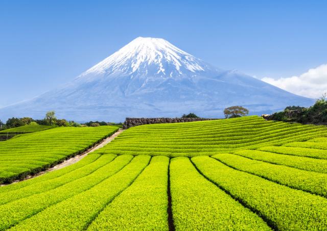 Kilátás a Fuji-hegyre az Oshino Hakkai-ból