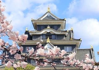 Okayama kastély tavasszal