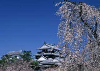 Matsuyama kastély