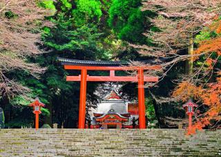 A Kirishima Jingu szentély torii kapuja