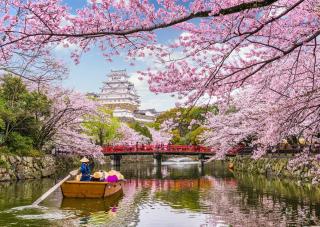 Hajókirándulás a Himeji kastélynál cseresznyevirágzás idején