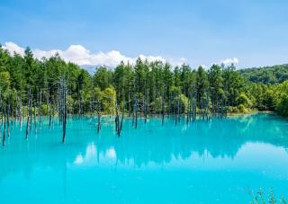A kék vízű Shirogane-tó Biei városánál