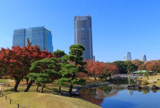 Hamarikyu Park, Tokió