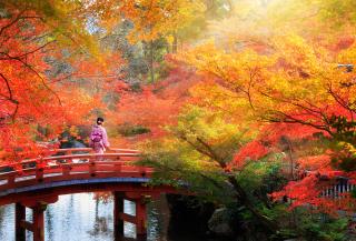 Japán ősszel
