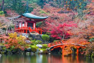 Daigo-ji templom ősszel