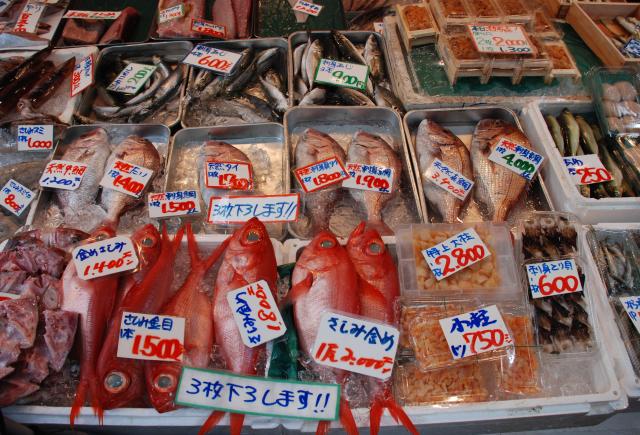 Tsukiji halpiac, Tokió