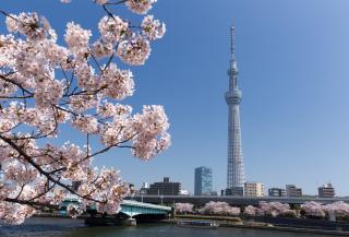 Skytree Tower, Tokió