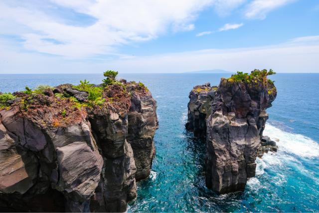 Jogasaki partszakasz, Izu-félsziget