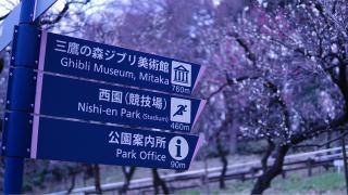 Ghibli Múzeum