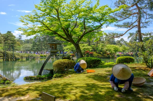 Kenrokuen kert, Kanazawa