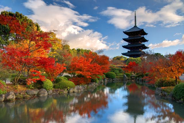 Toji templom, Nara