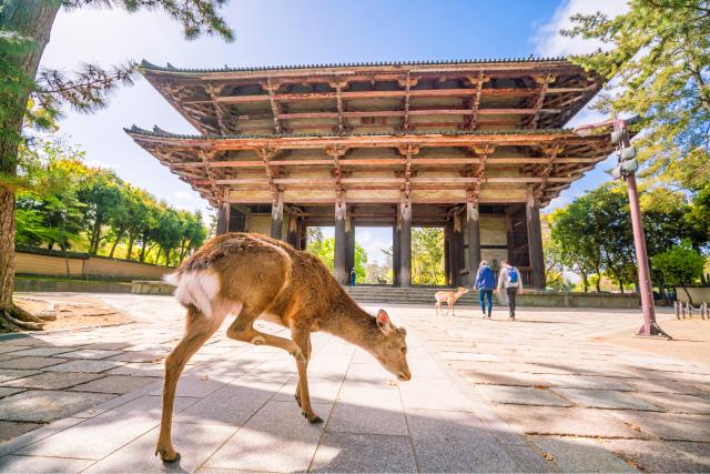 Toga-ji templom, Nara