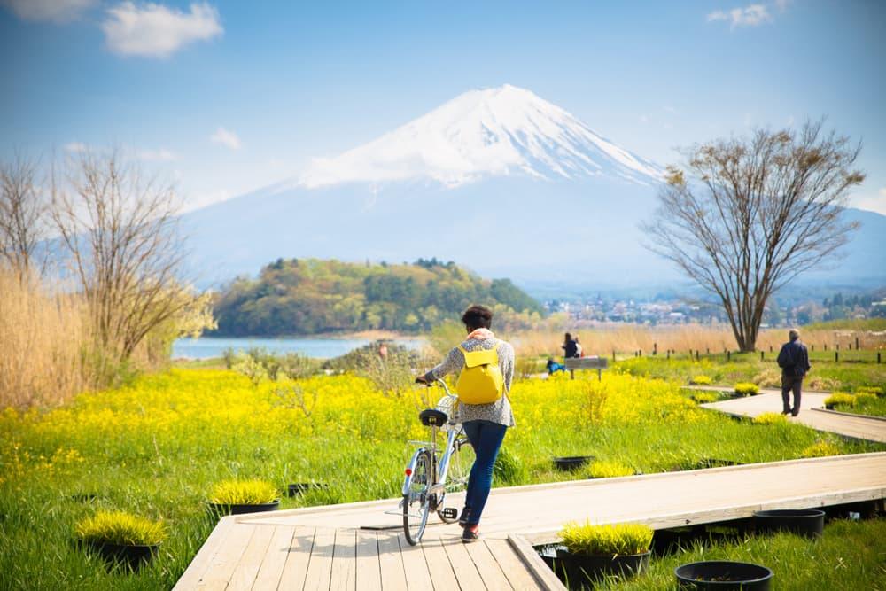 Az Arashiyama bambuszligetek, Kiotó, Japán