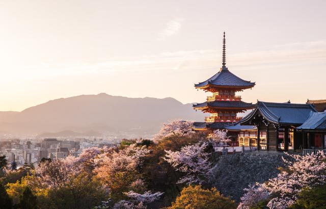Kiyomizudera templom cseresznyevirágokkal, Kiotó