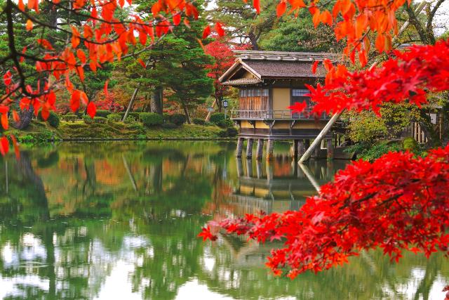 Kenrokuen kert vörös falevelekkel, Kanazawa 