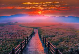 Suncheon-öböl, Yeosu