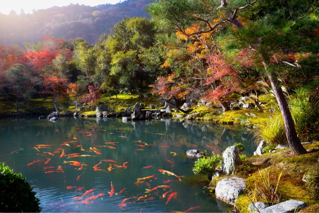 Tenryuji templom, Arashiyama